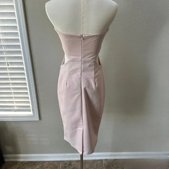 NWT Tobi Into The Night Strapless Dress in Blush - Picture 4 of 10